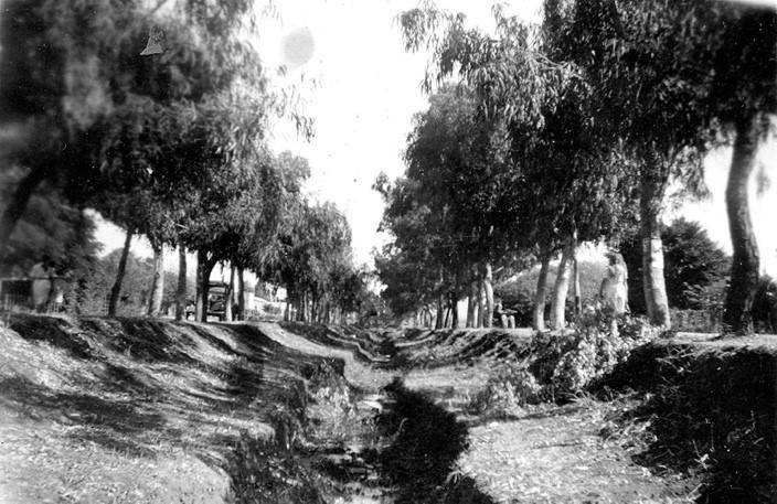 תמונה 2 שדרות הגעתון, 1948 – אתר תולדות נהריה, חנה קליין
