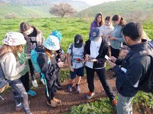 ילדי קיבוץ גזית מבצעים סקר בשטח
